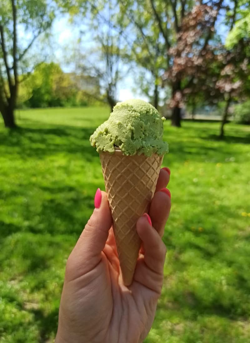 Rożek z lodami pistacjowymi w parku